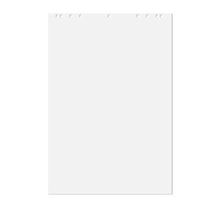 CF5 BLOCCHI PER LAVAGNA FF BIANCHI - BLOCCHI PER LAVAGNA 65x98cm CONF.5