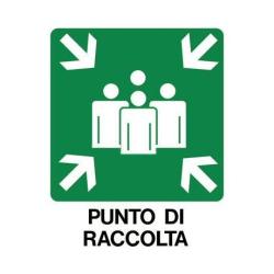 CARTELLO PUNTO DI RACCOLTA - 593EF52040
