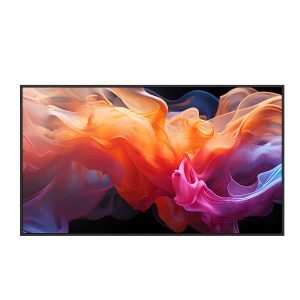 MULTISYNC E869